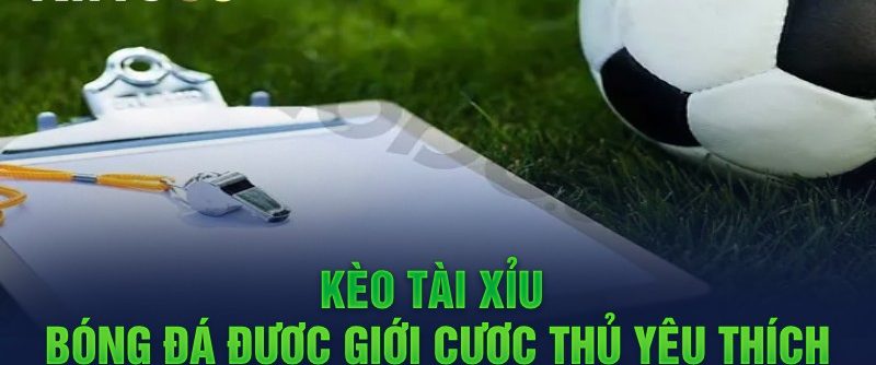 Tài Xỉu Trong Bóng Đá – Cách Chơi Hiệu Quả Cho Tân Thủ